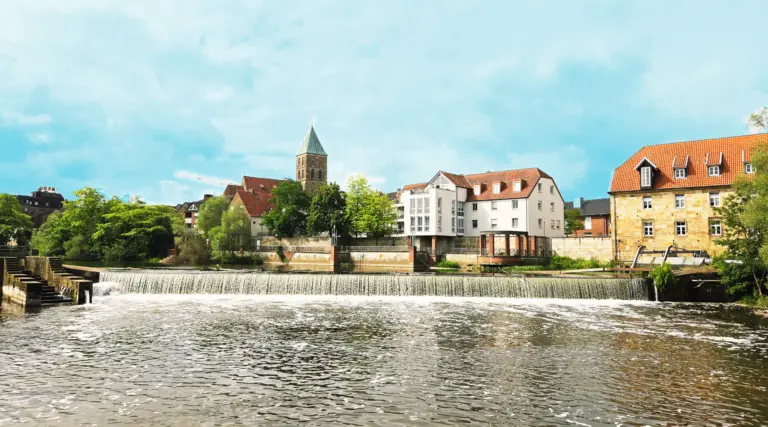 AfD Rheine mitmachen